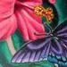 Tattoos - Hibiscus Flower and Butterfly - 79356